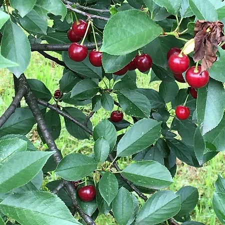 Σπίτι διακοπών Dhabi Sweet Doglodi